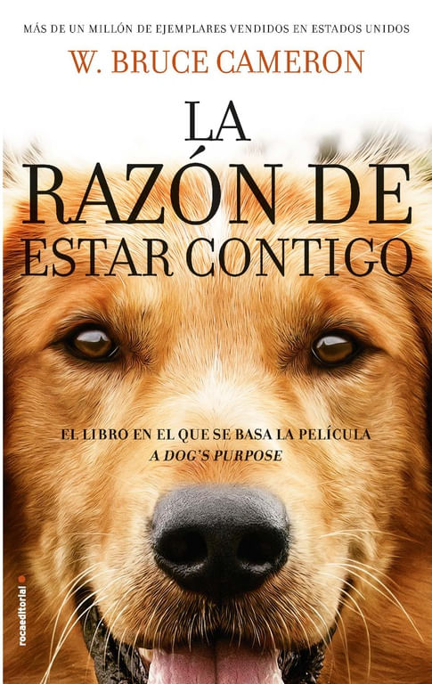 LA RAZON DE ESTAR CONTIGO