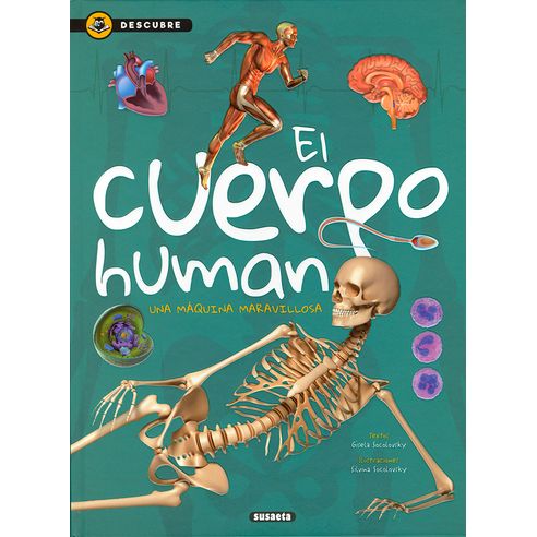 EL CUERPO HUMANO