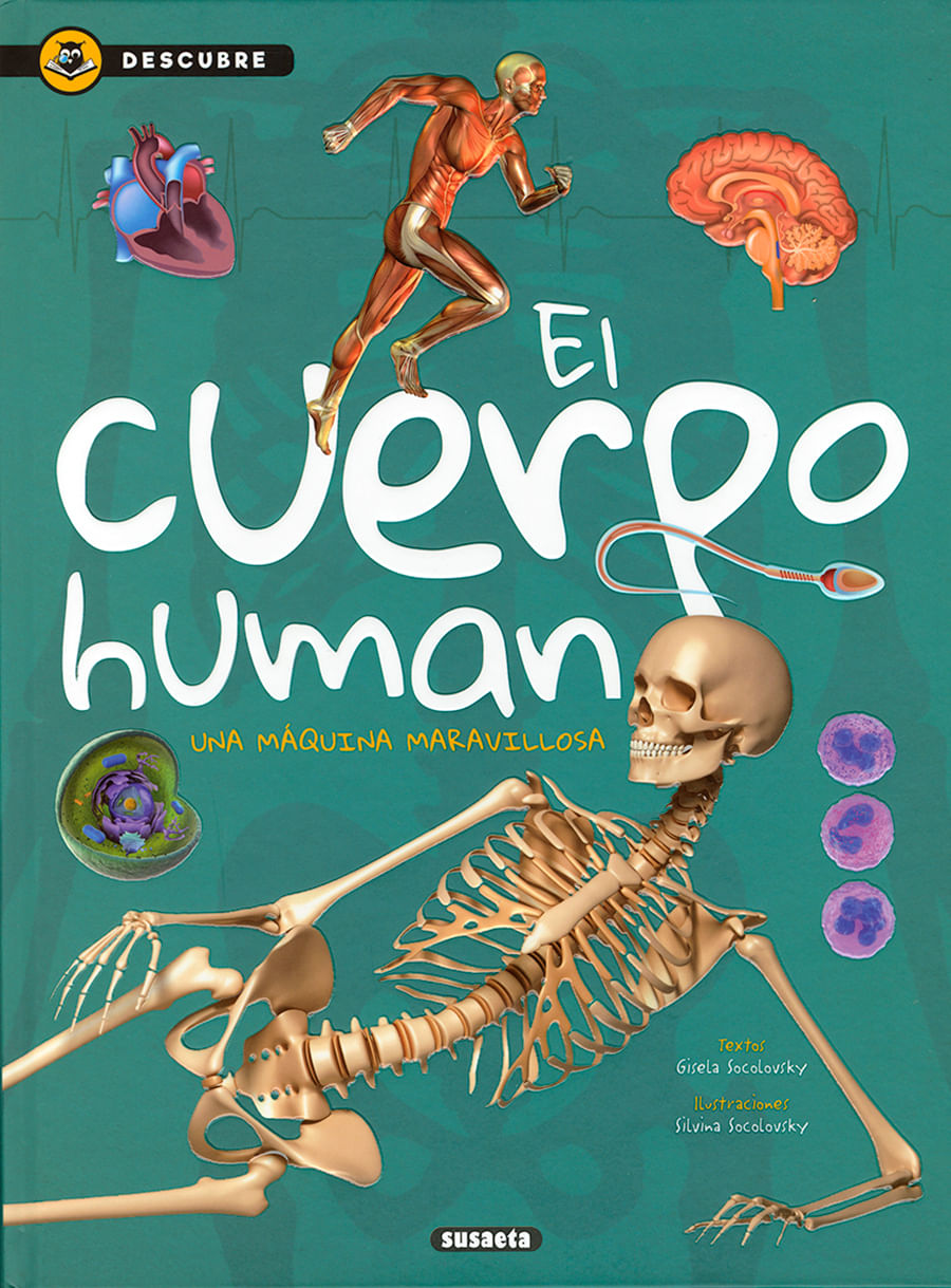 EL CUERPO HUMANO