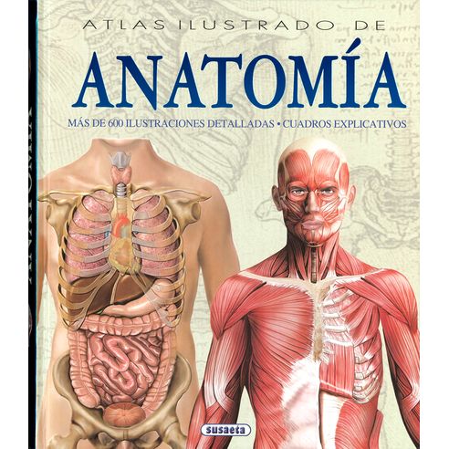 ATLAS ILUSTRADO DE ANATOMIA