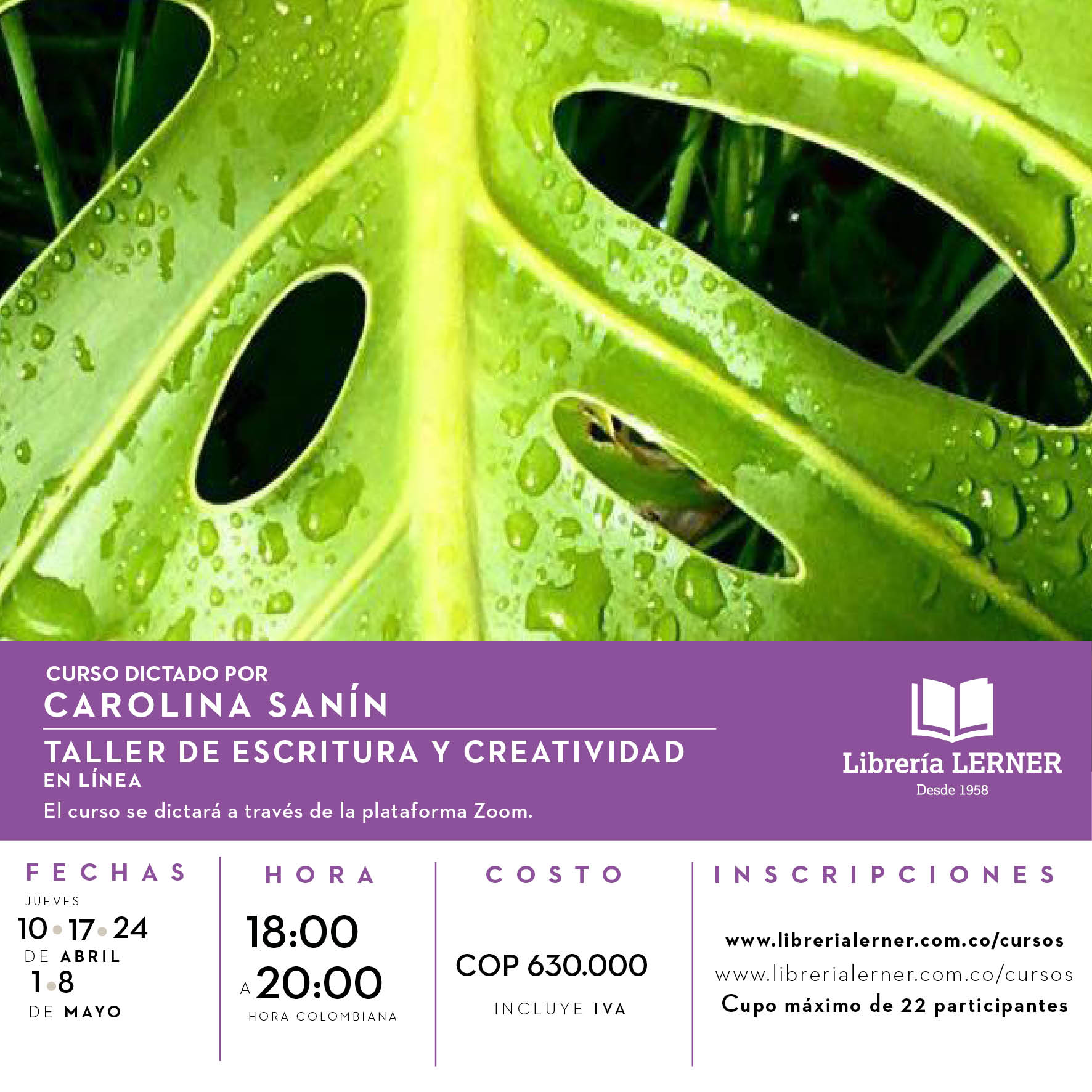 TALLER DE ESCRITURA Y CREATIVIDAD 5 SESIONES VIRTUAL CAROLINA SANIN