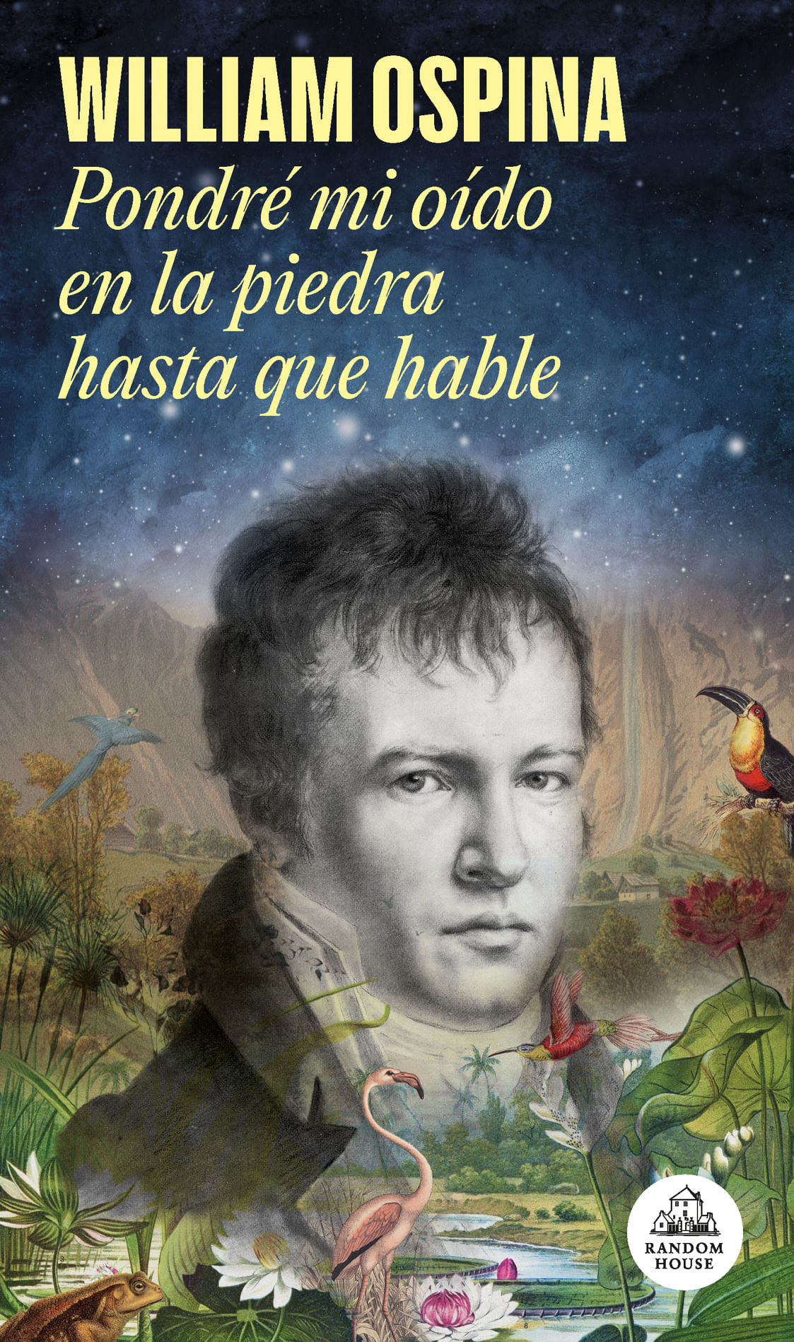Pondré mi oído en la piedra hasta que hable